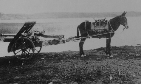 Bofors 75 mm mountain gun