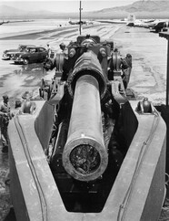 Tactical Nuclear Weapons